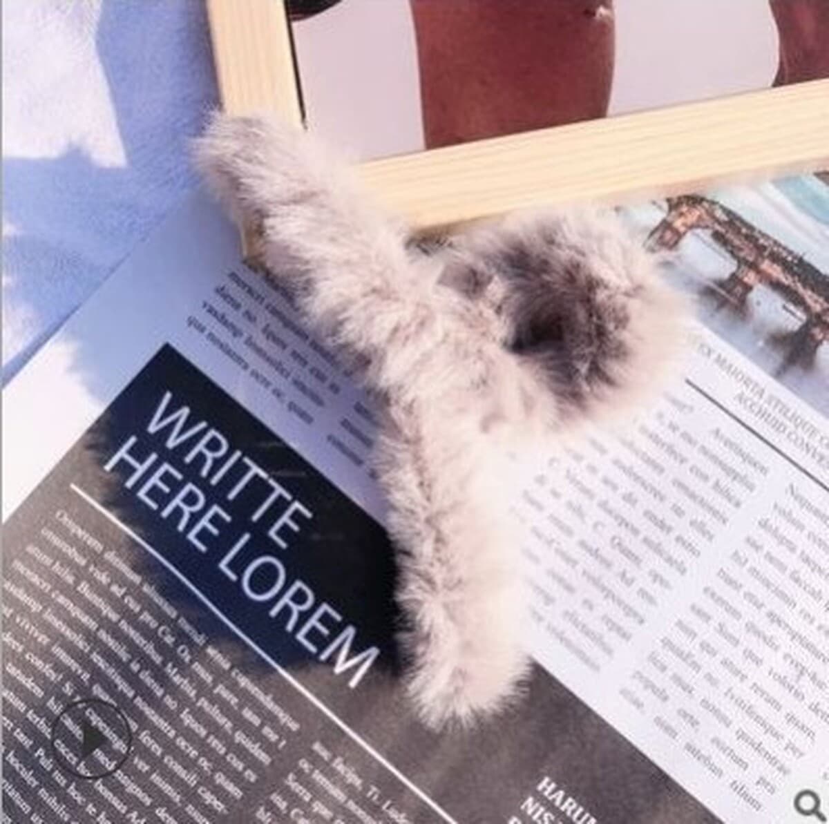 Корейская новая девушка двухсторонний Kt бант плюшевый захват мультфильм милый акула зажим высокая стоимость осенью и зимой