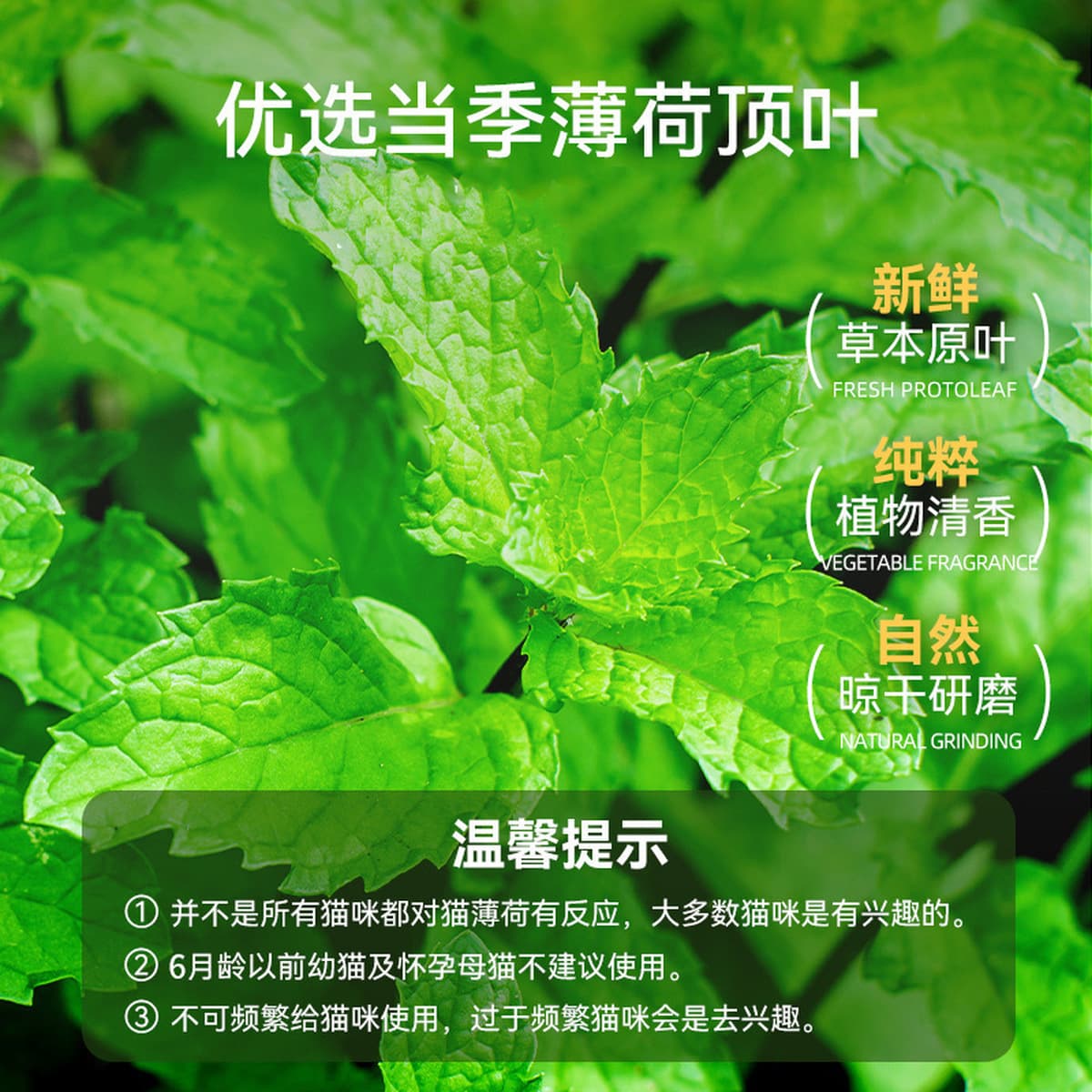 Кошачья мята, листья кошачьей травы, кошачьи закуски, забавные котята, удовольствие от себя и облегчение скуки, дропшиппинг...