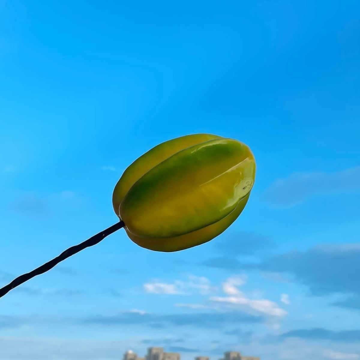 Декоративная внешняя антенна для автомобиля: милый мультяшный фигурка-кактус в стиле фуди для модификации крыши автомобиля