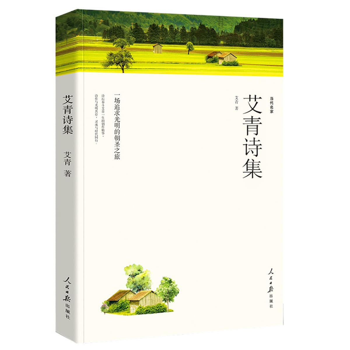 Литературные романы, отборные книги, книги для внеклассного чтения для учащихся средних и старших классов, дропшиппинг