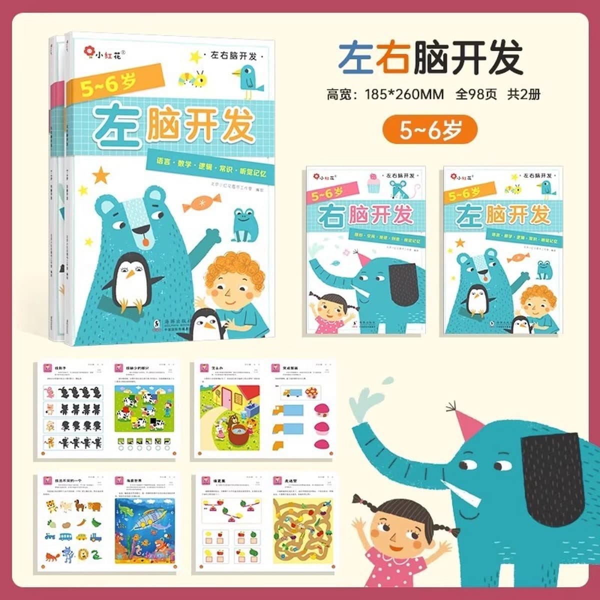 Учебная книга по логике мышления 2-3-4-6 лет 5 головоломок дошкольное обучение