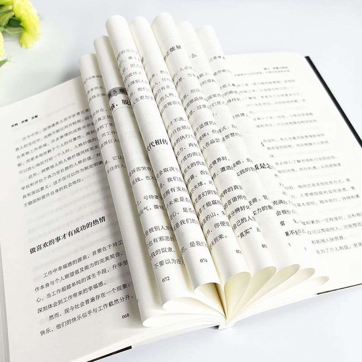 Просветление и просвещение. Просветление.