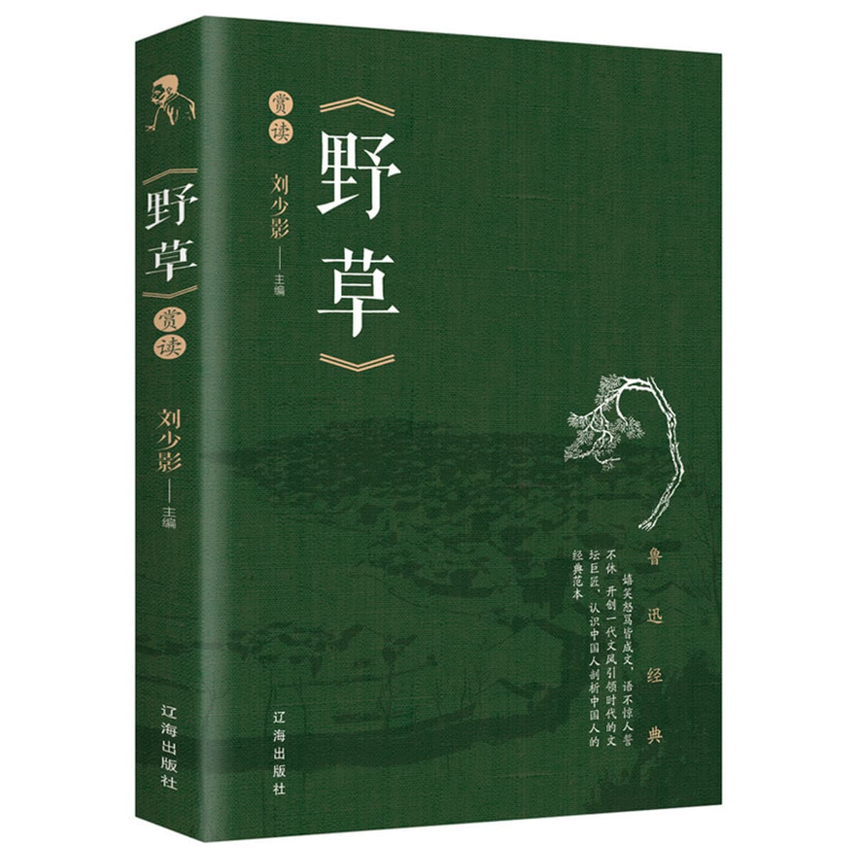 Полное собрание сочинений Лу Синя из 10 томов без сокращений