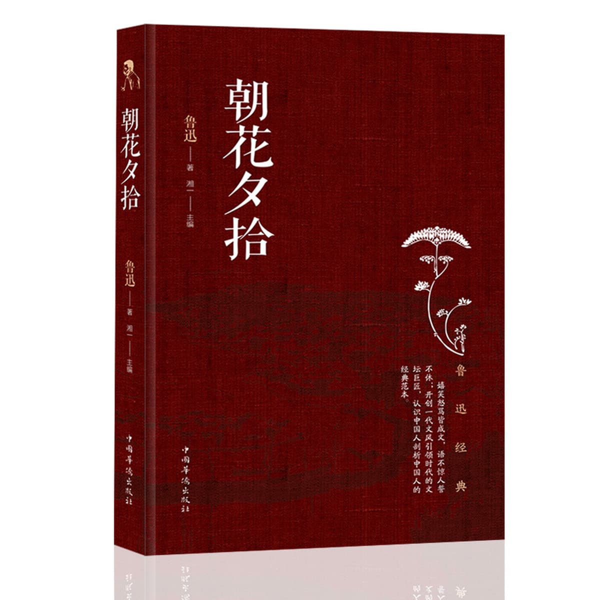 Полное собрание сочинений Лу Синя из 10 томов без сокращений