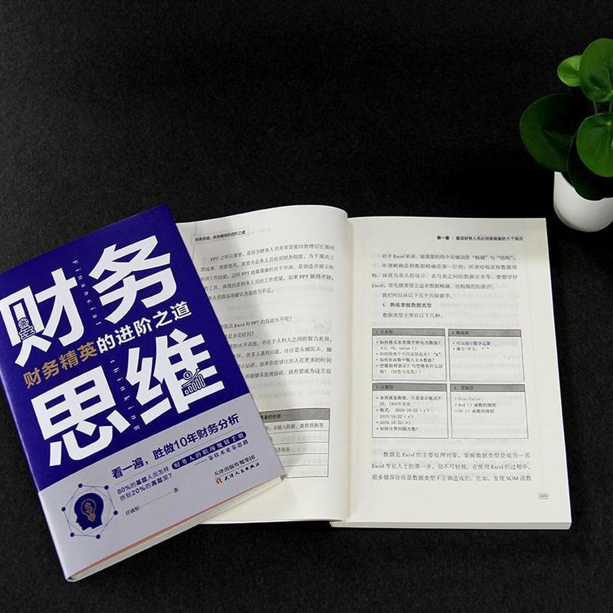 Финансовое мышление. Финансовые люди. Руководство по планированию на рабочем месте. Финансовый менеджер. Подсумки на работу....