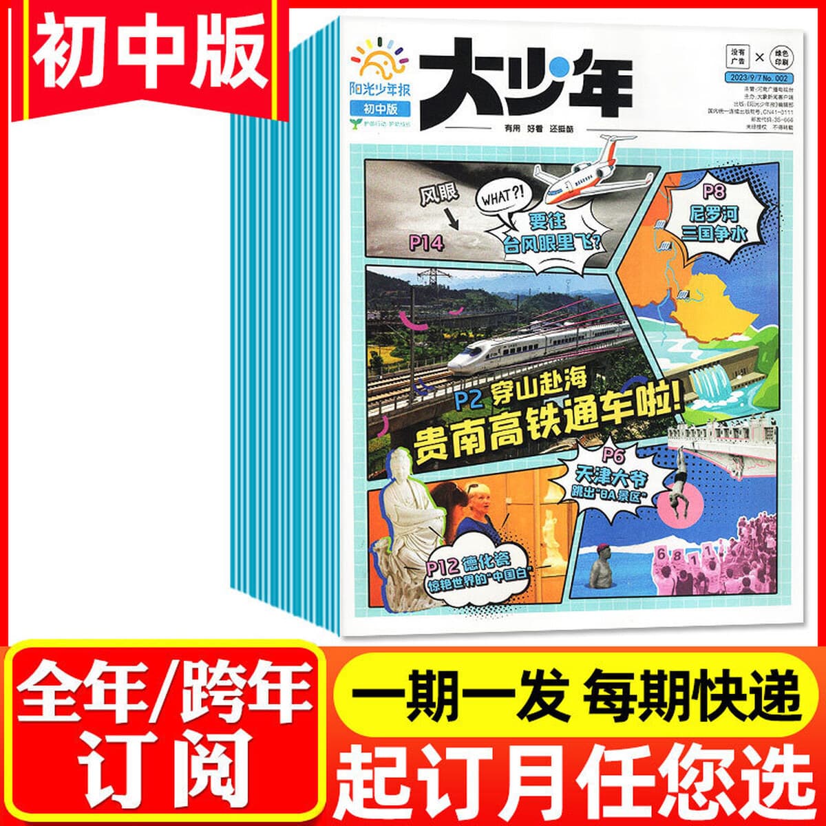 Годовая подписка на 25-летние восточные куклы Любопытство