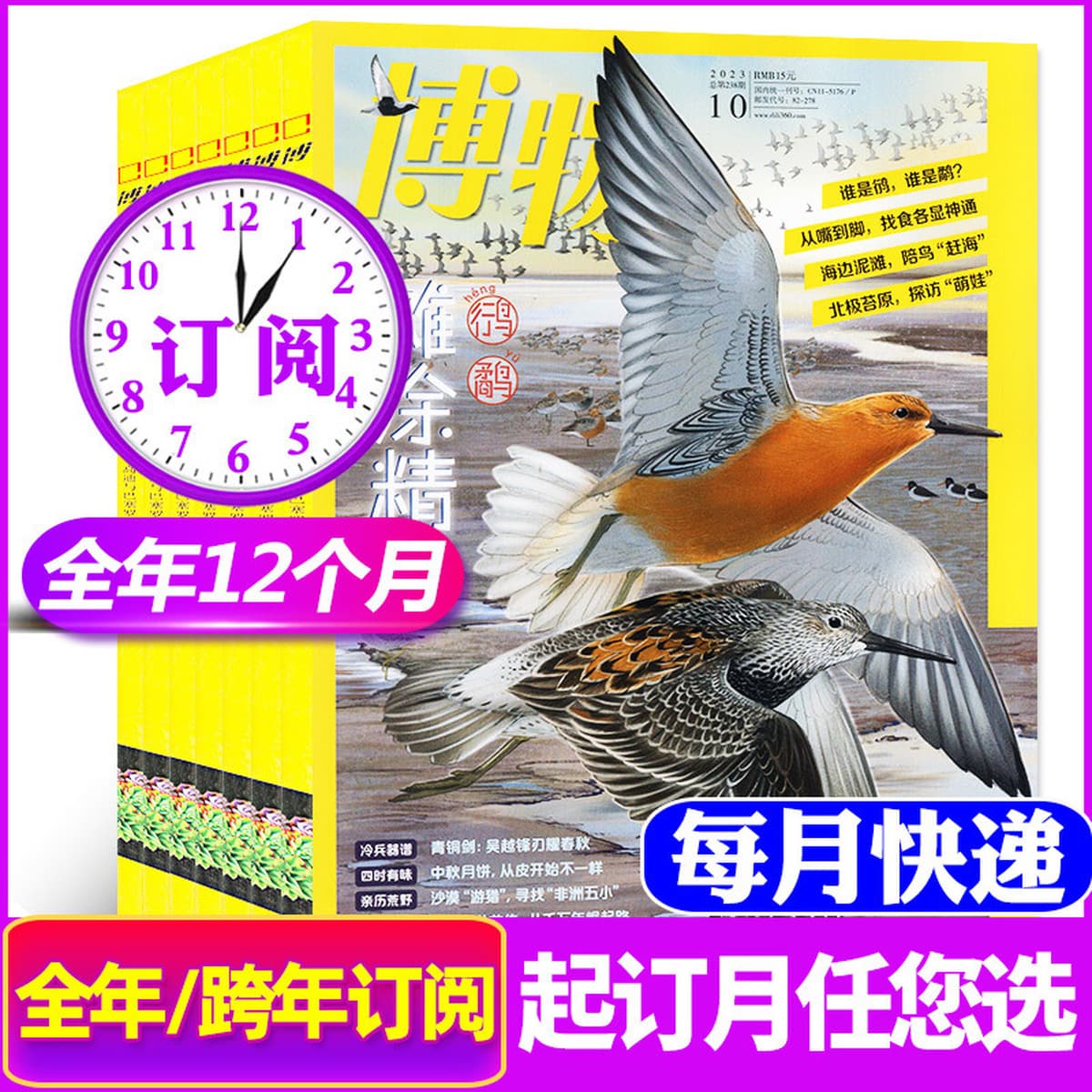 Годовая подписка на 25-летние восточные куклы Любопытство