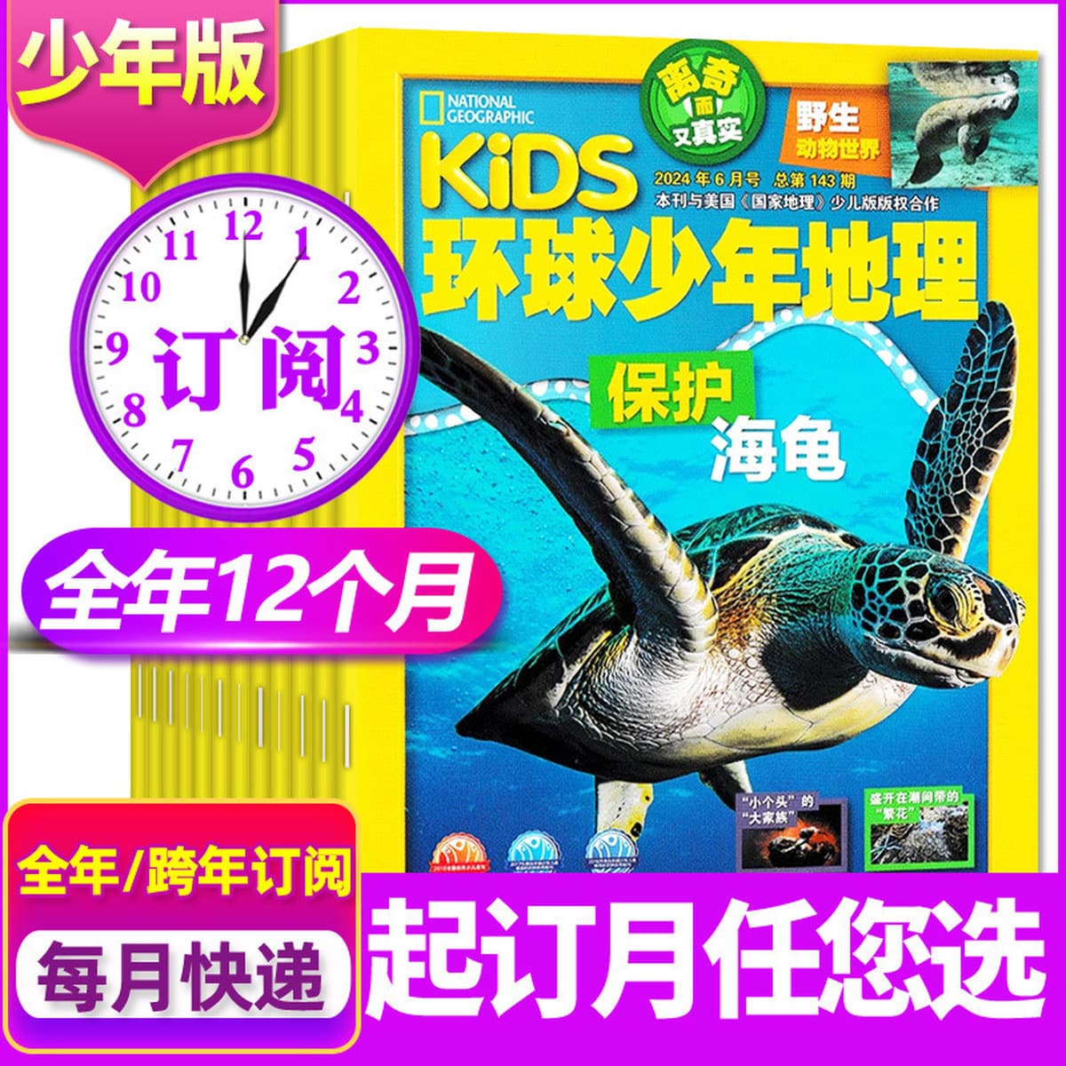 Годовая подписка на 25-летние восточные куклы Любопытство