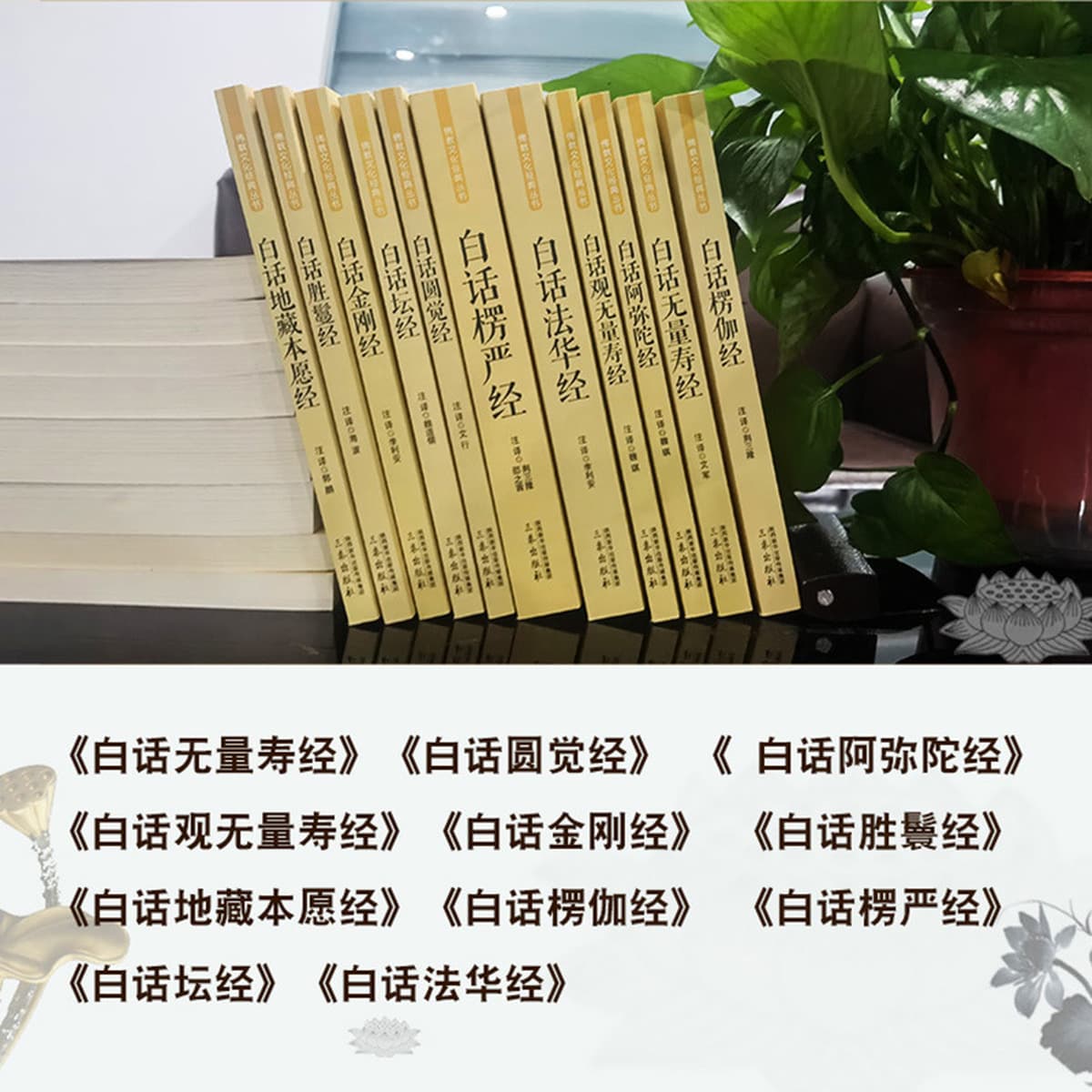 Полные аннотации и переводы буддийских священных писаний на китайском языке, сравнение с Сутрой Махавайраканы, буддийской...