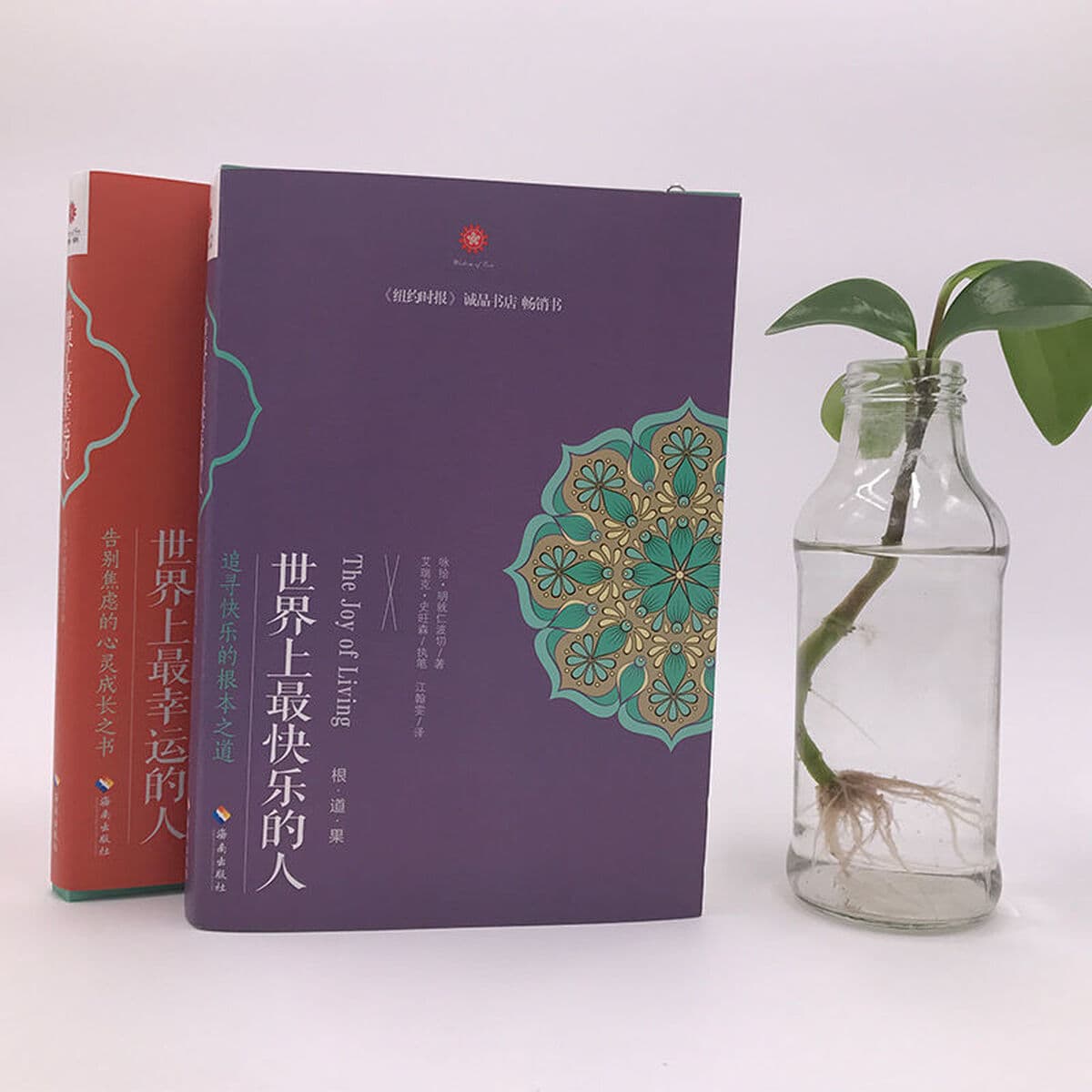 Самый счастливый человек в мире, который говорит о методе медитации Ринпоче. Введение в буддизм для начинающих