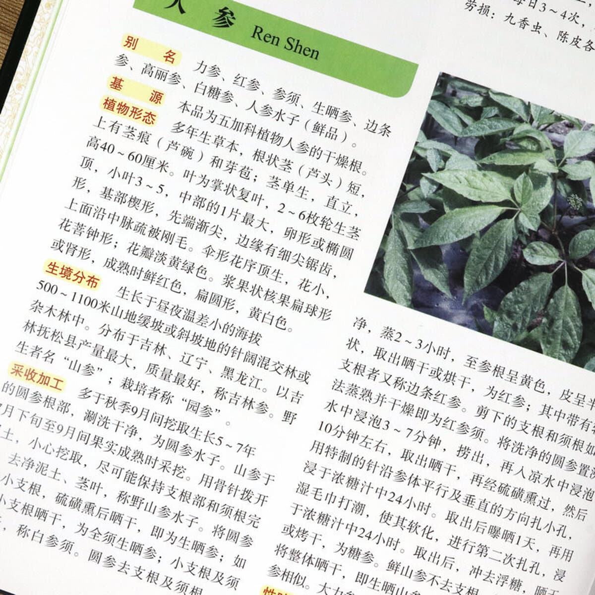 Сборник китайской травяной медицины Оригинальный цветной атлас Книги традиционной китайской медицины Китайская фармакопея...