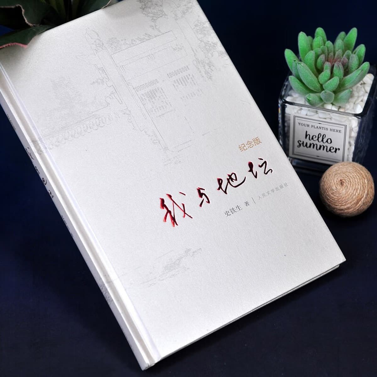 Я и Дитан в твердом переплете юбилейное издание