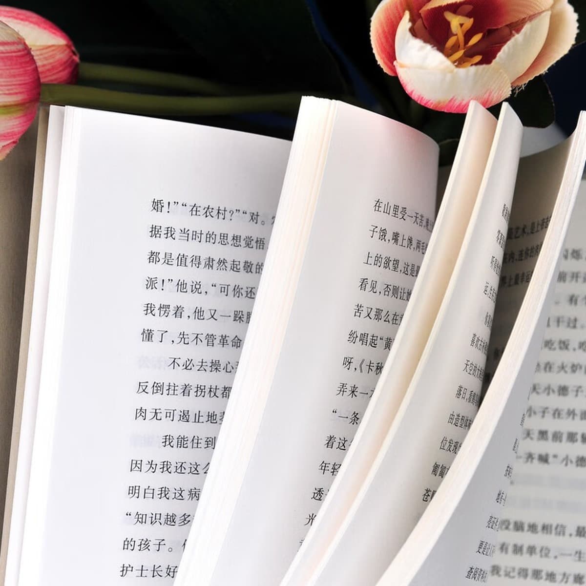 Я и Дитан в твердом переплете юбилейное издание