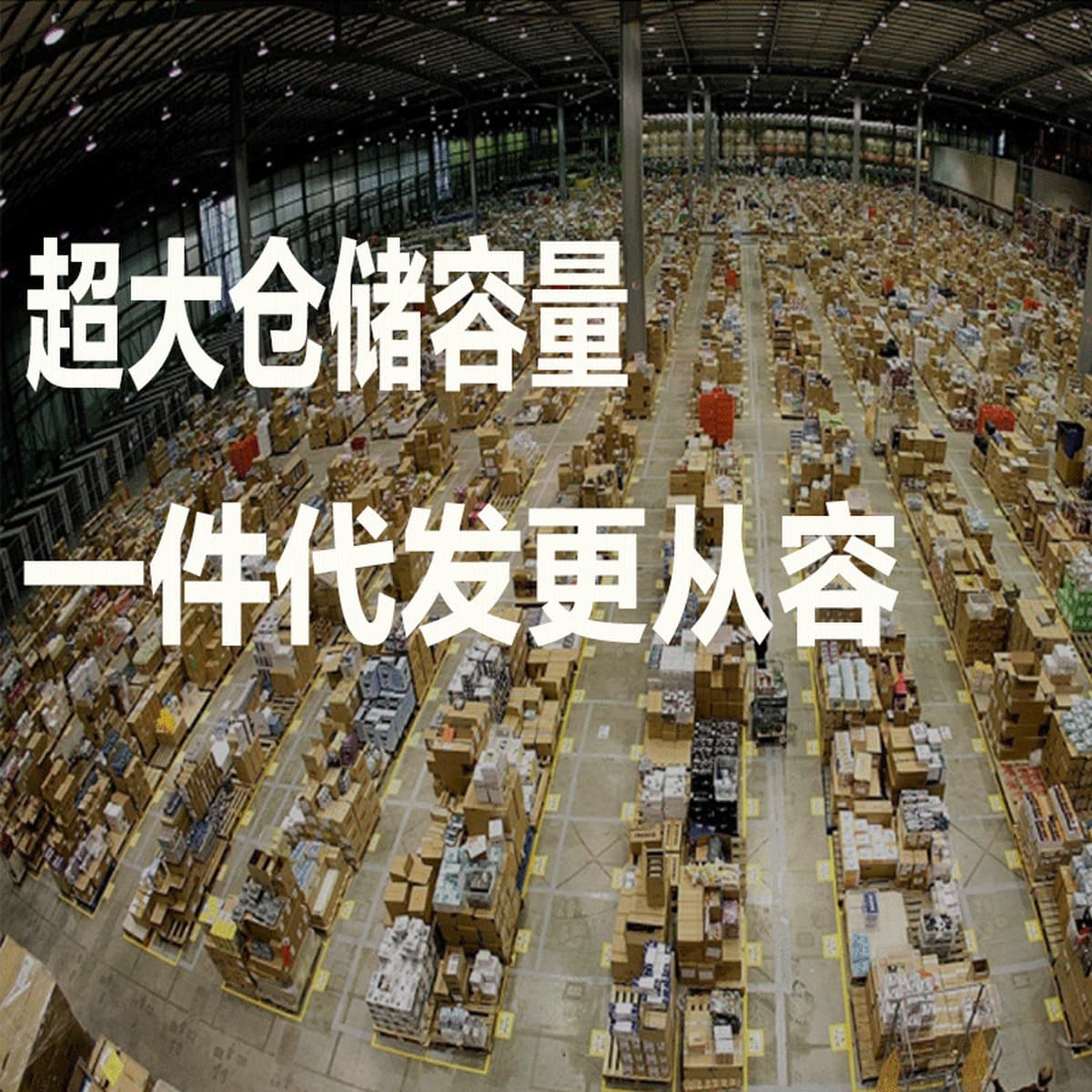 Овощные песочное печенье без сахара Сушеные 0 сахарозы здоровые заменители еды для закусок офисные закуски оптом 500 г...