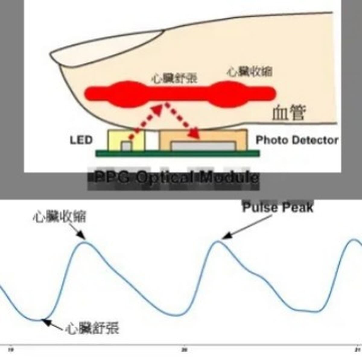 Модернизация интеллектуальных липидных шкал для здорового кислорода в крови Модуль сердечного ритма кровяного давления